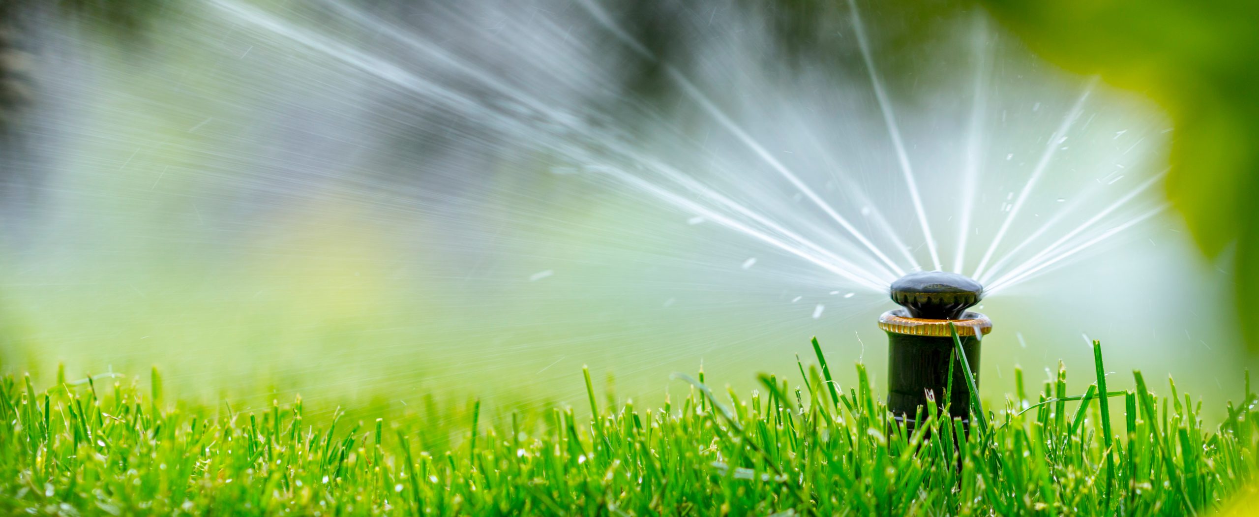 protect lawn during Wichita drought - automatic sprinkler system watering the lawn on a background of green grass
