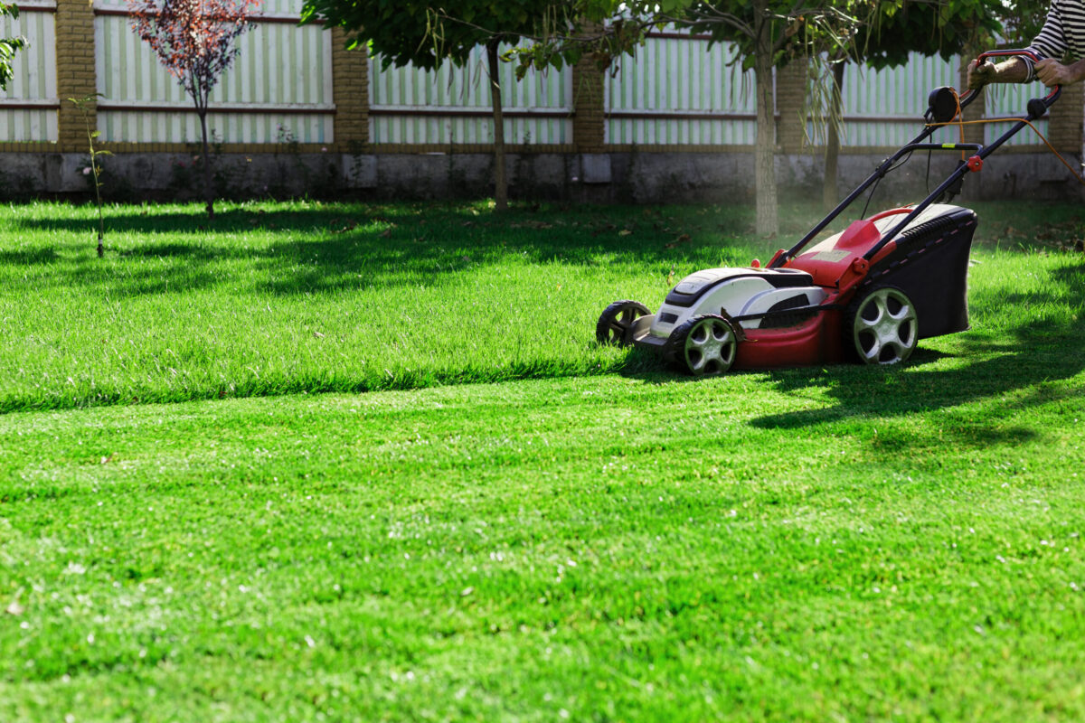 lawn mower cutting grass on homeowner lawn